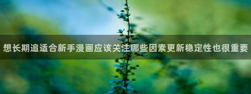 樱花日语词典